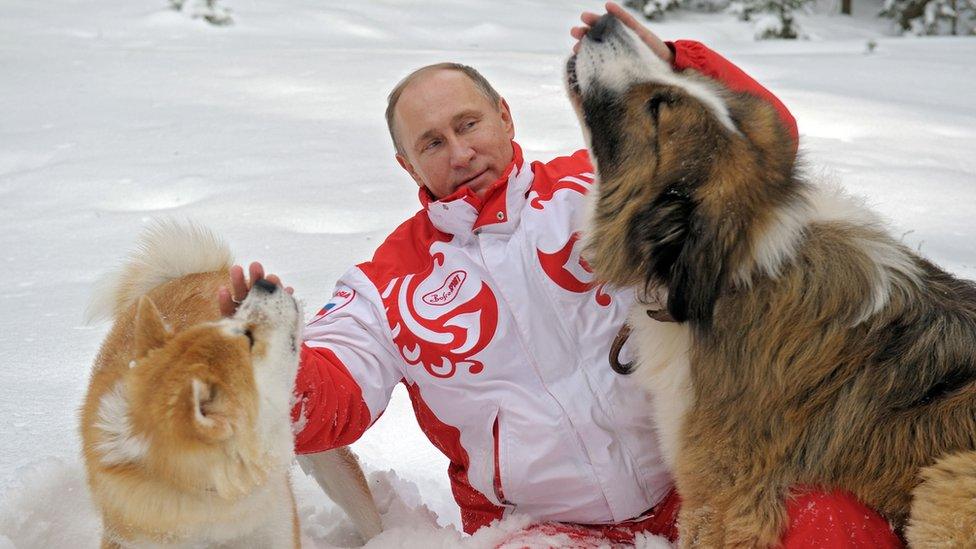 Russian President Vladimir Putin as he plays with his dogs "Buffy" (R) and "Yume