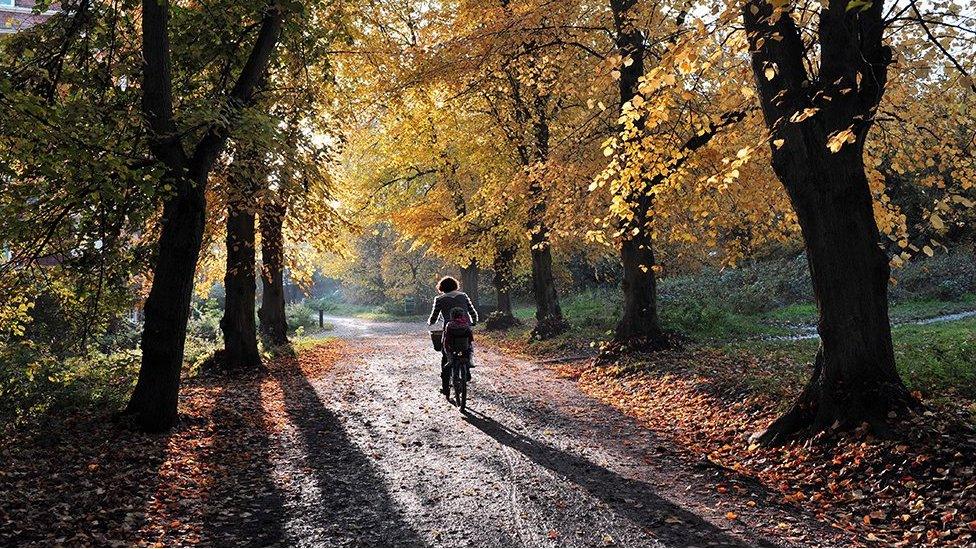 Cyclist on muddy path