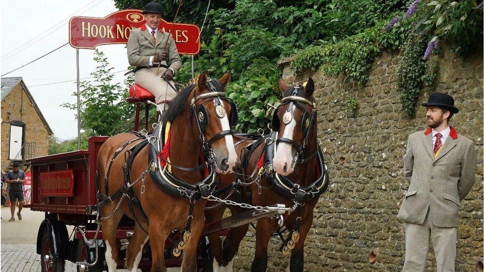 Shire horses at the brewery