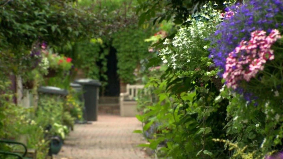 The recently opened community garden in the Holyland, called Wildflower Alley