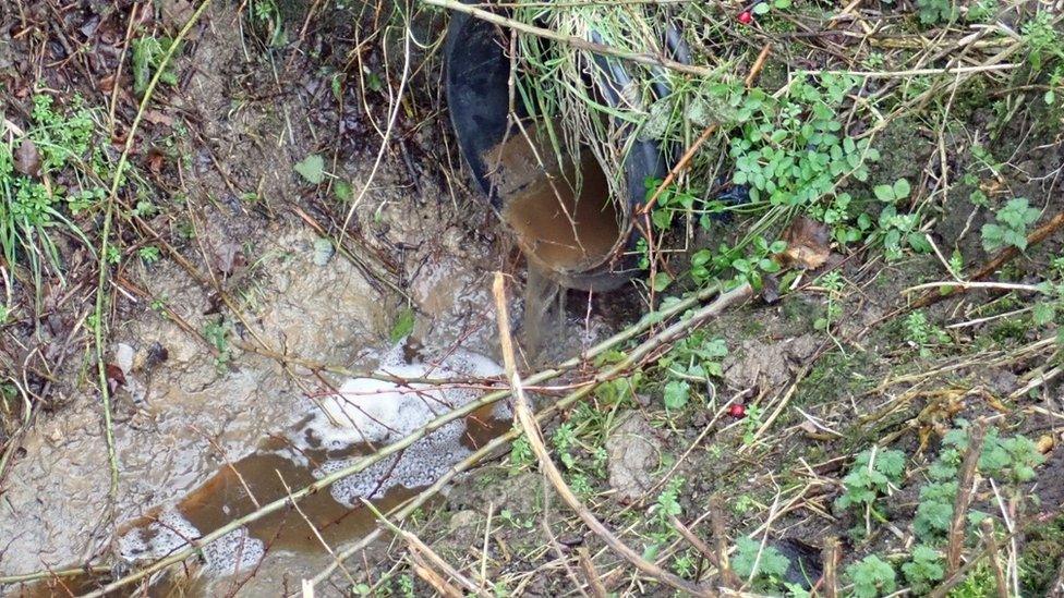 Slurry in the brook