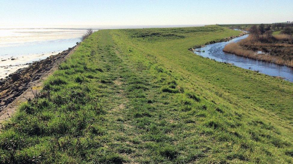 The Gwent Levels