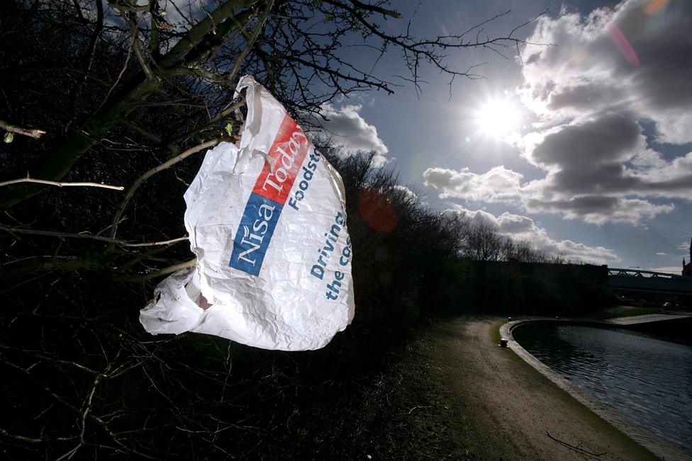 Bag caught in the trees