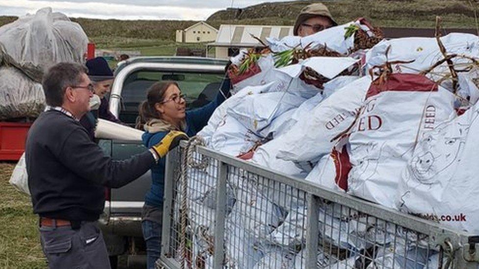 Volunteers putting sacks of Sour Fig in trailer