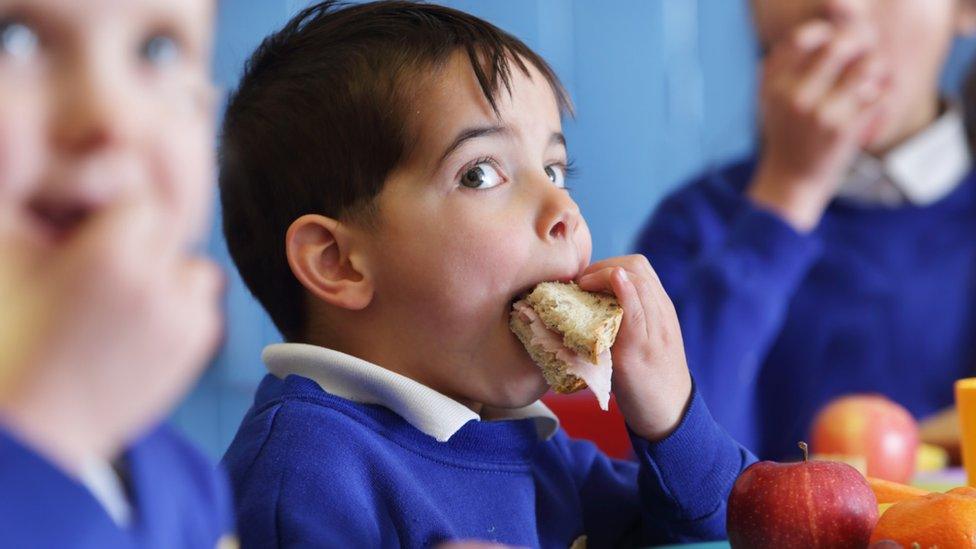 Child eating sandwich