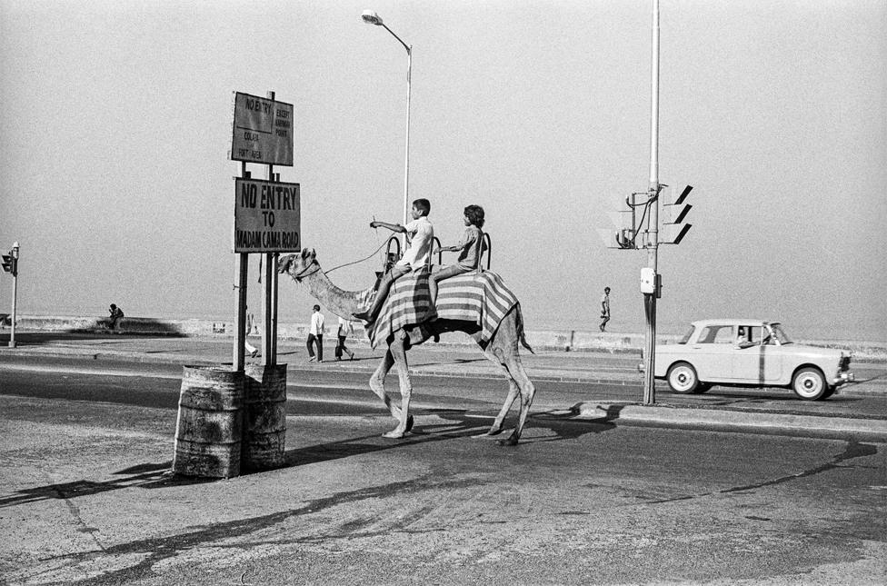 A camel ride on Mumbai's Marine Drive in 1977