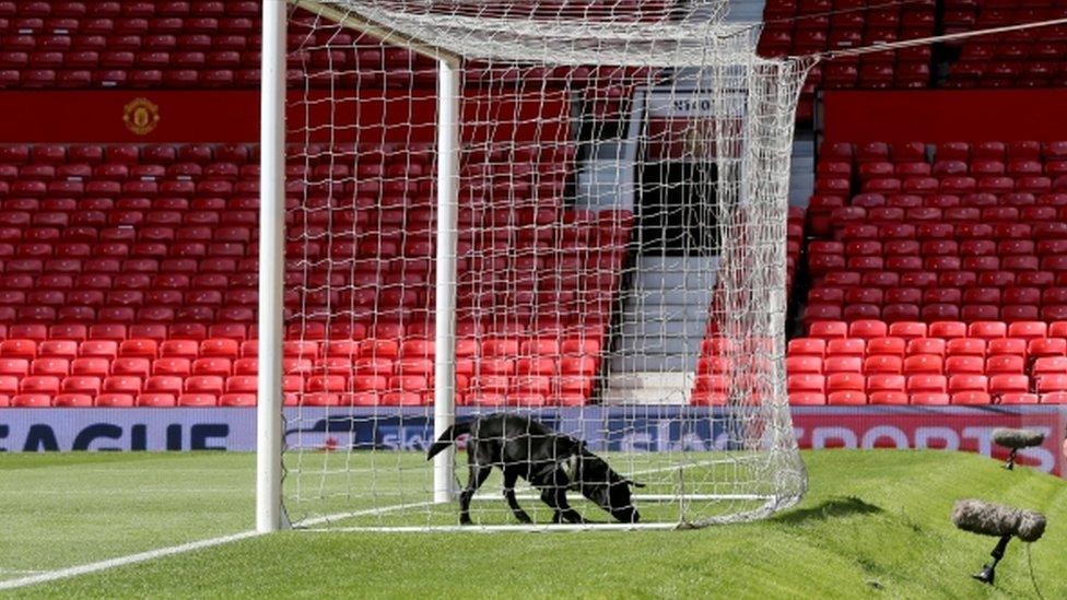 A sniffer dog on the pitch at Old Trafford during the alert