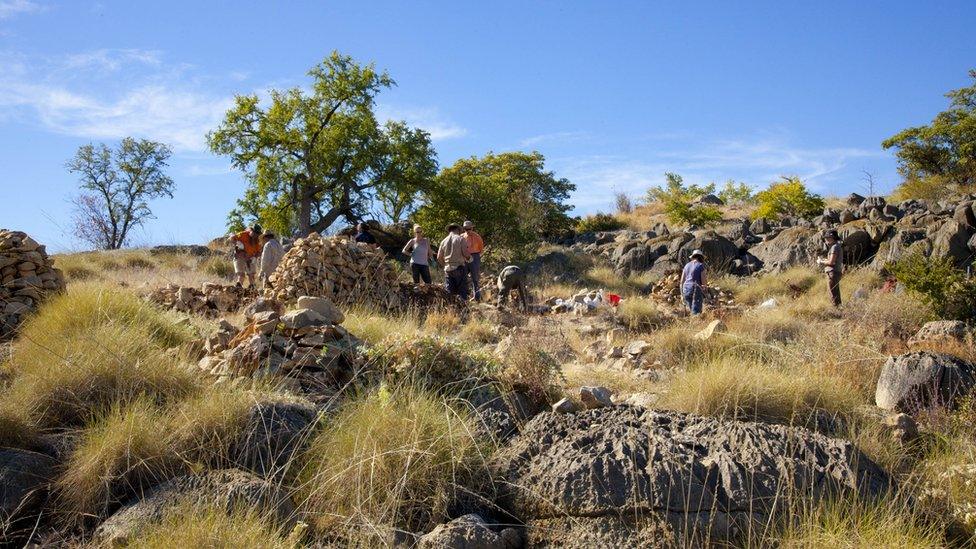 The Neville's Garden Site as it is today, with researchers and volunteers from UNSW working at the site.