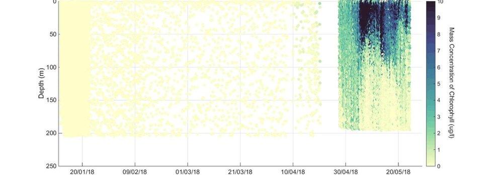 Graph showing increase in chlorophyll