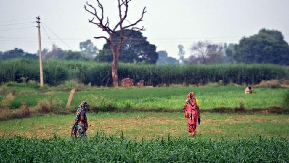 Indian residents arrive to defecate in an open field in a village in the Badaun district of Uttar Pradesh.