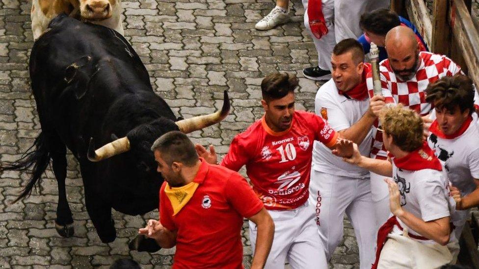 People running away from a large black bull.