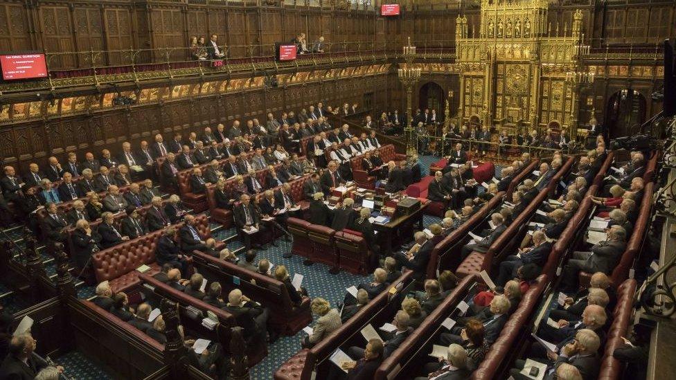 The House of Lords chamber during a debate