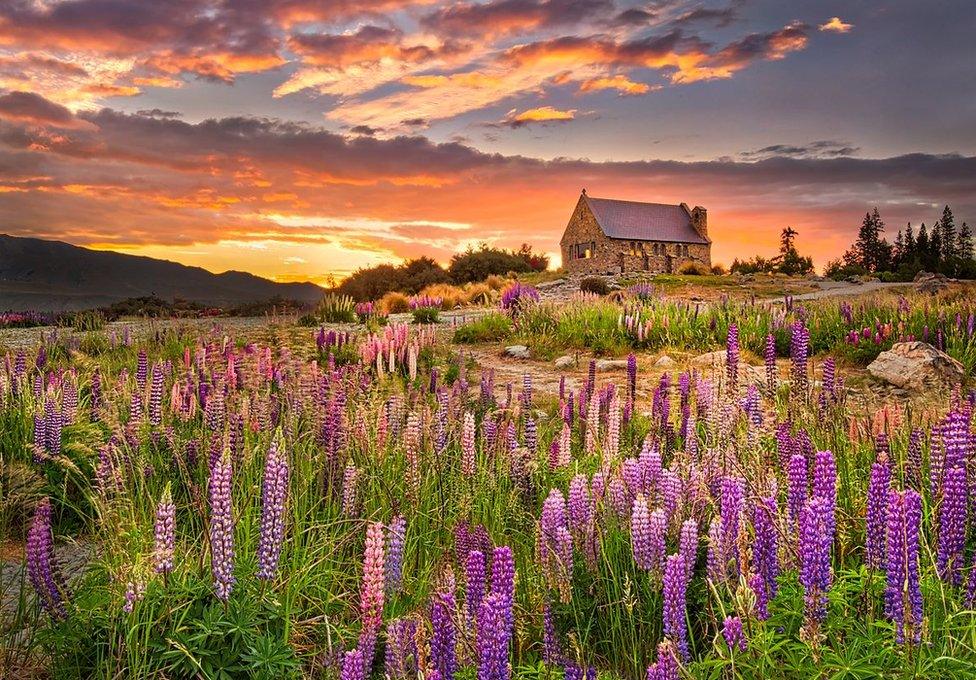 A sunrise in Lake Tekapo, South Island, New Zealand