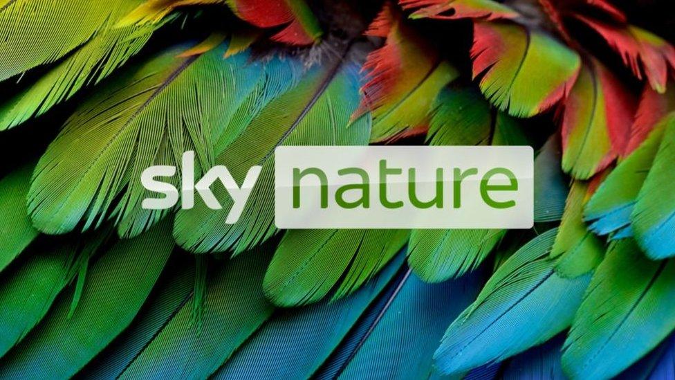 Sky's new nature channel launches today - with HDR programmes available on-demand