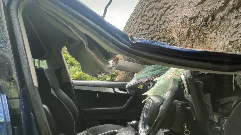 Car crash caused by fallen tree