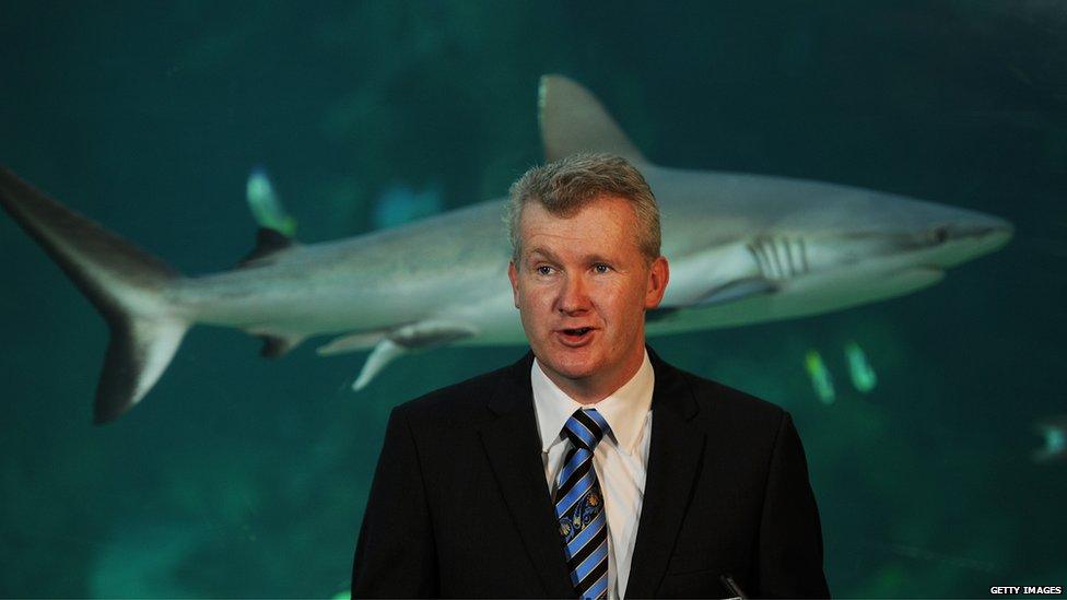 Australian Labor MP and Former Environment Minister Tony Burke