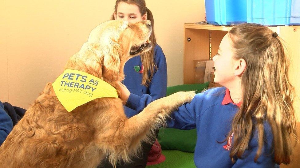 Dog and pupils at Crown Primary