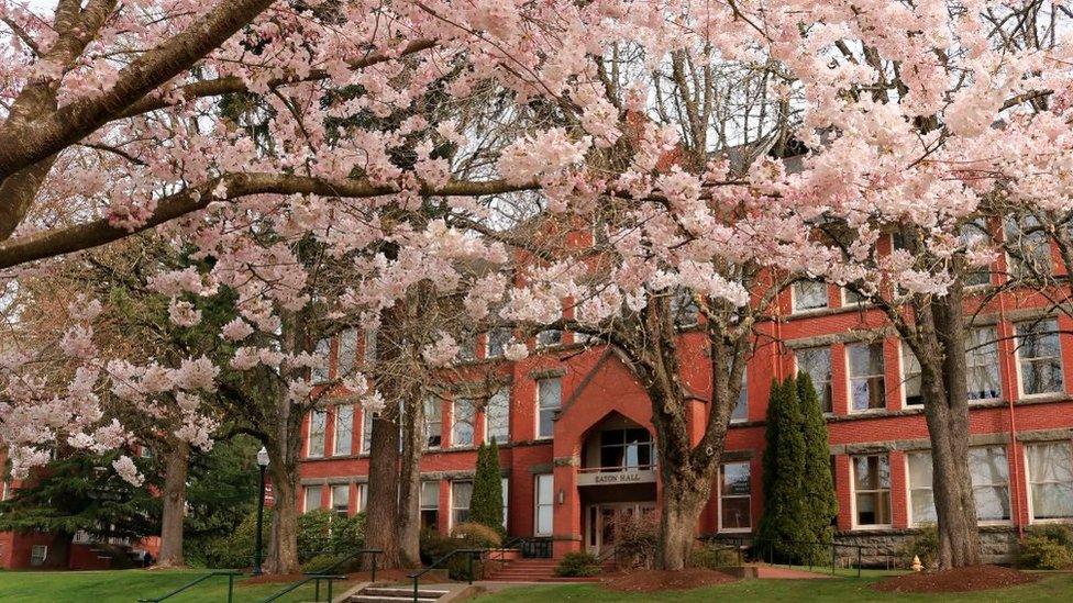 Willamette University