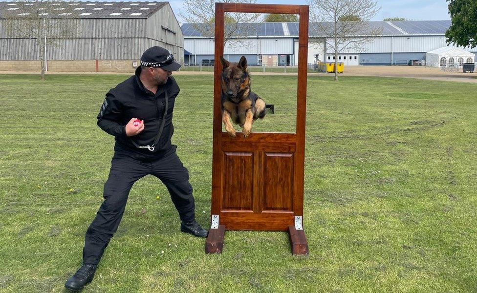 An action shot of PD Arnie jumping through the window of a door, with PC Nick Lofthouse watching him