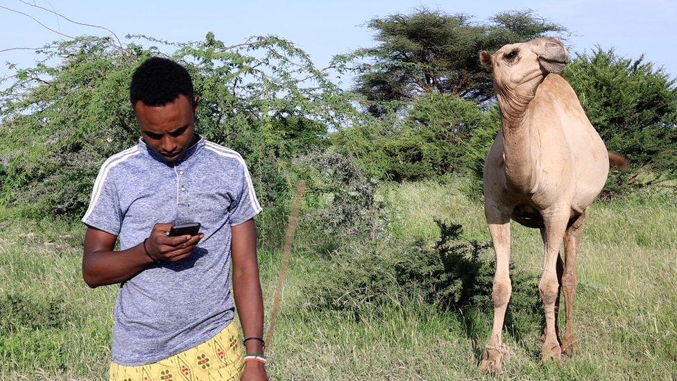 One of the main challenges for education in Somaliland is reaching a mostly rural and pastoralist population