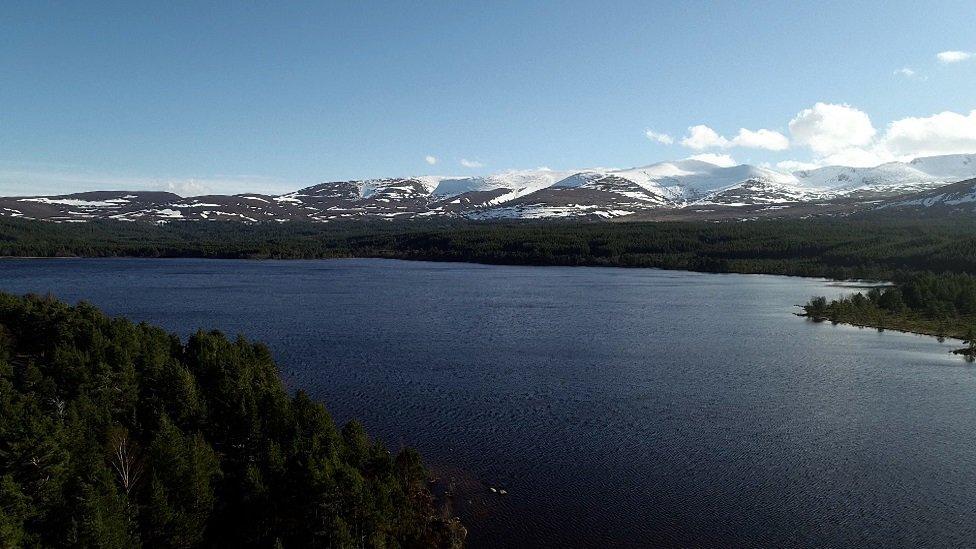 Cairngorms