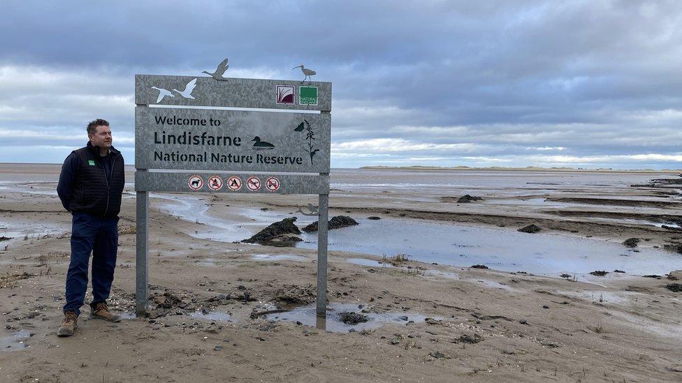 A picture of a sign for the Lindisfarne National Nature Reserve close to the causeway to Holy Island