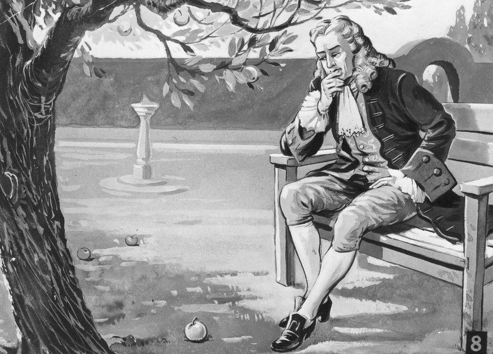 English mathematician and physicist Sir Isaac Newton contemplates the force of gravity on seeing an apple fall in his orchard, circa 1665