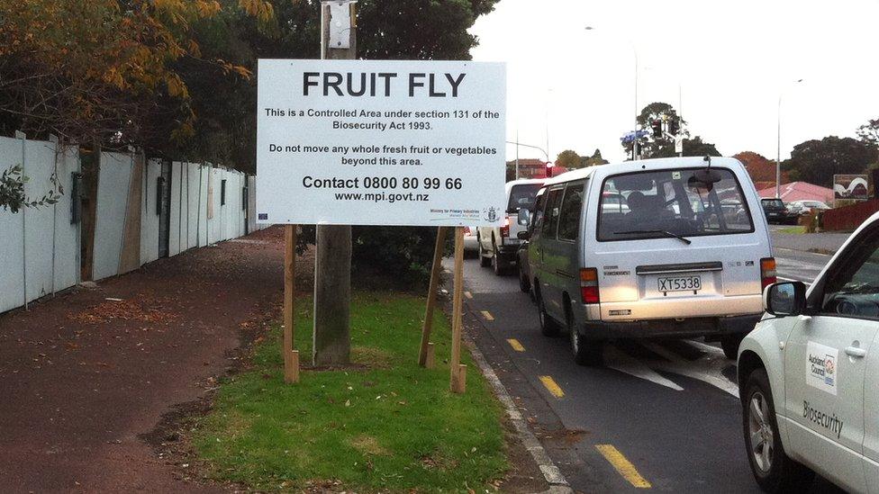 A sign marking the fruit fly control area