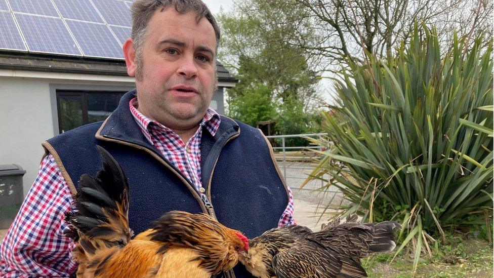 Poultry dealer Robert McKibbin - wearing a checked shit and a gilet - holds two chickens