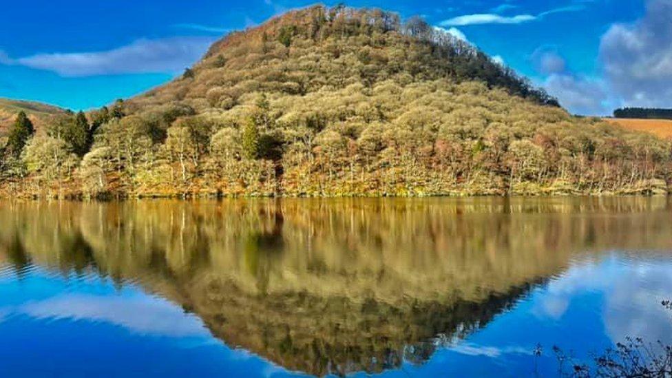 A densely wooded hill above a lake, with a bright blue sky