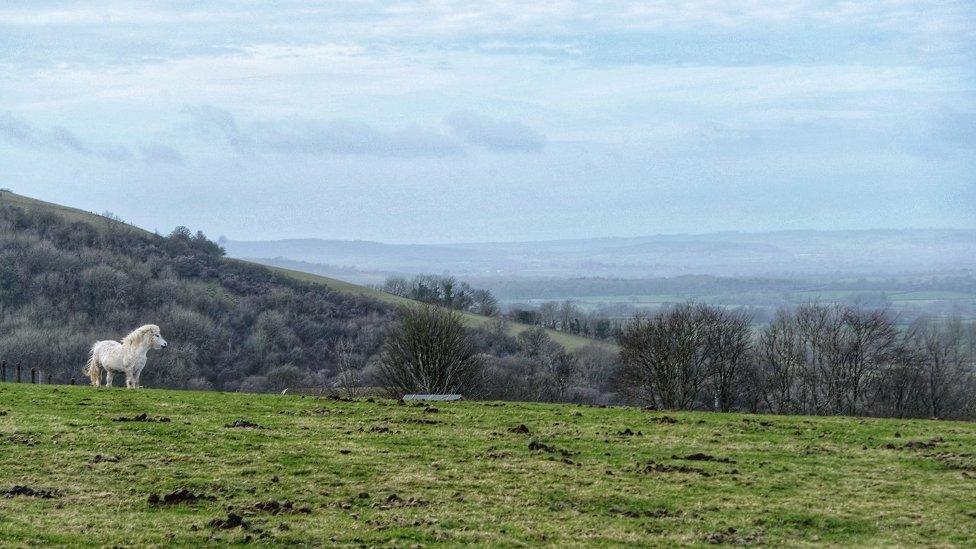 THURSDAY - Okeford Hill