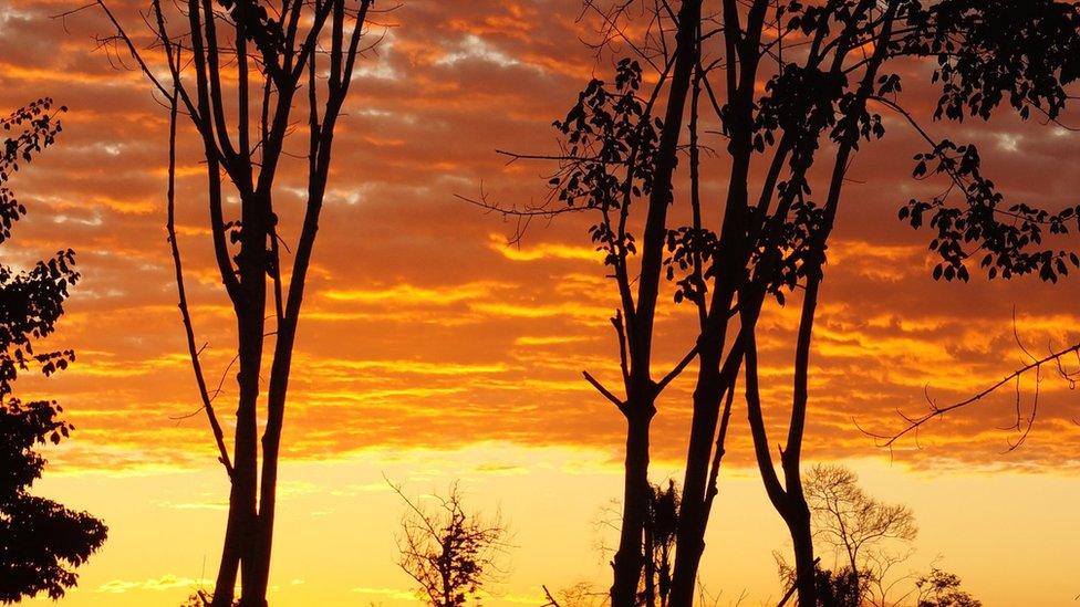 Sunset in the Amazon (July 2015)