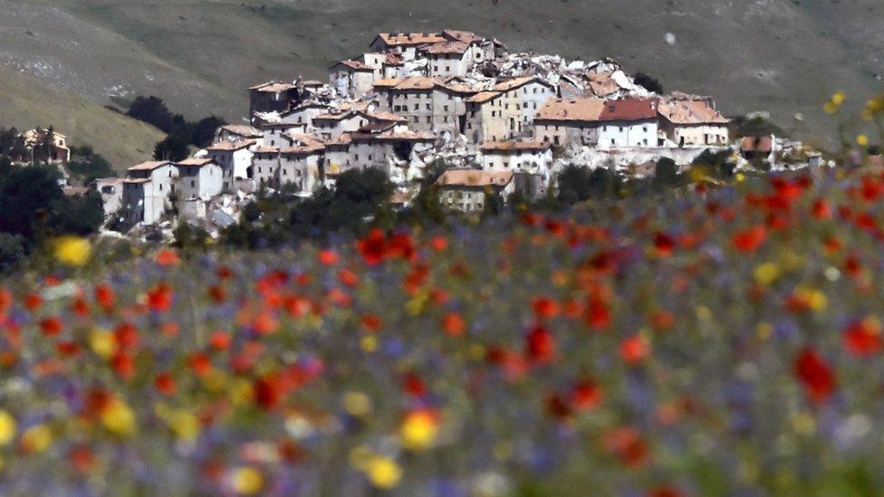 Castelluccio surrounded by poppies, cornflowers and lentils