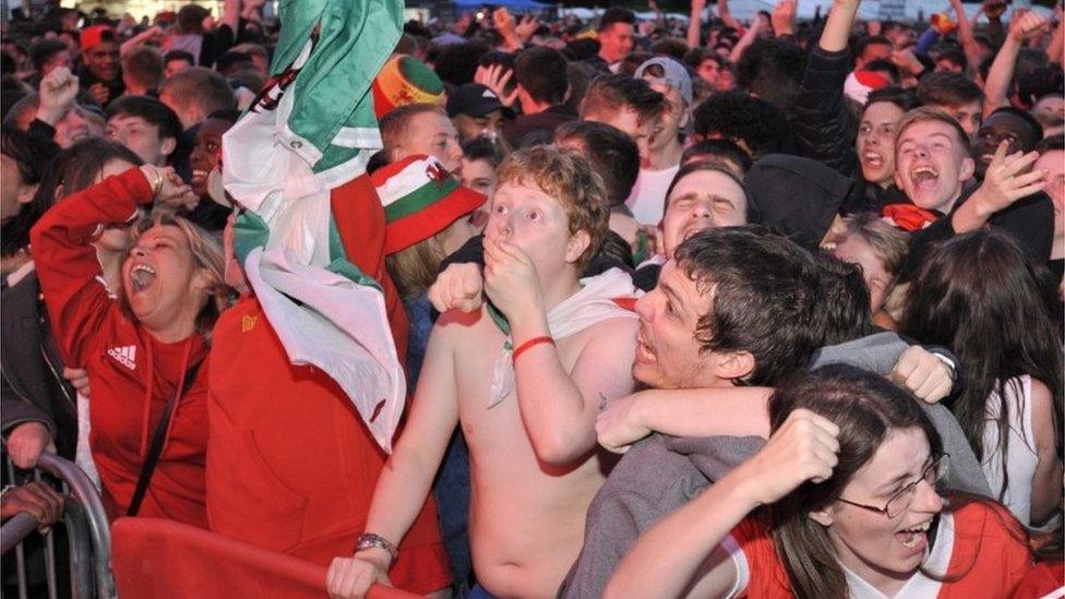 Fans in the Cardiff fan zone