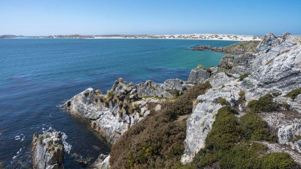 View of rock formations at Gypsy Cove near Port Stanley, Falkland Islands