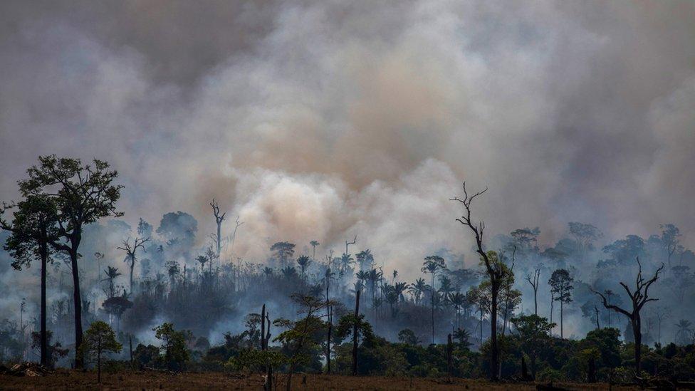 Smokes rises from forest fires in Altamira, Para state, Brazil, on August 27, 2019