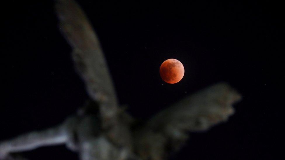 super-blood-moon-San-Salvador