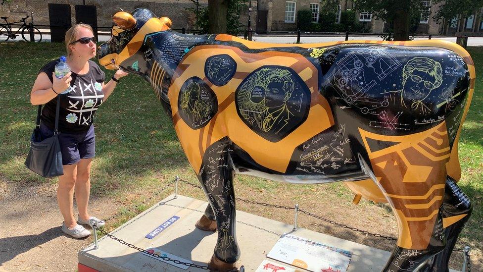 Tourist with a cow