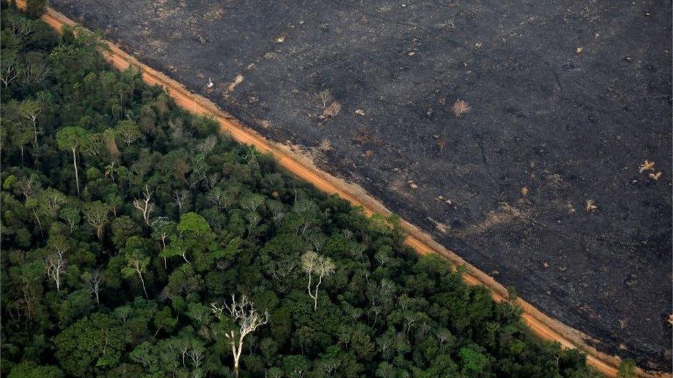 An aerial view shows a deforested plot of the Amazon near Porto Velho on 17 September 2019