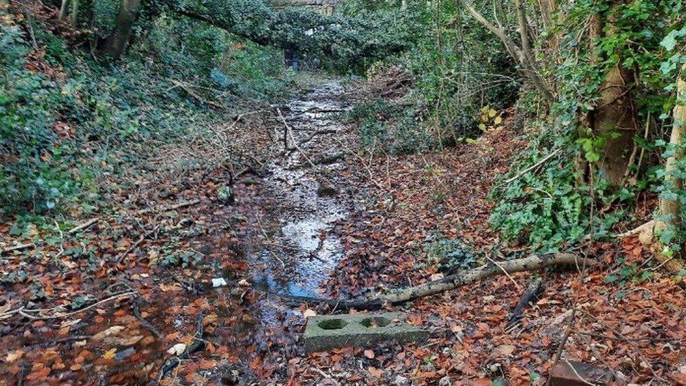 Former railway line Looking Towards The Cannard\\'S Grave Bridge In Shepton Mallet