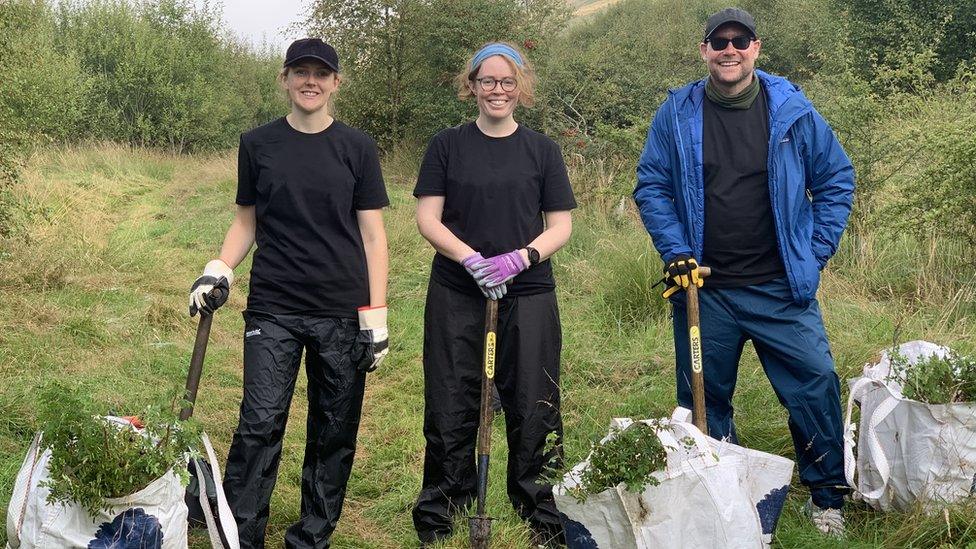 Tree planting