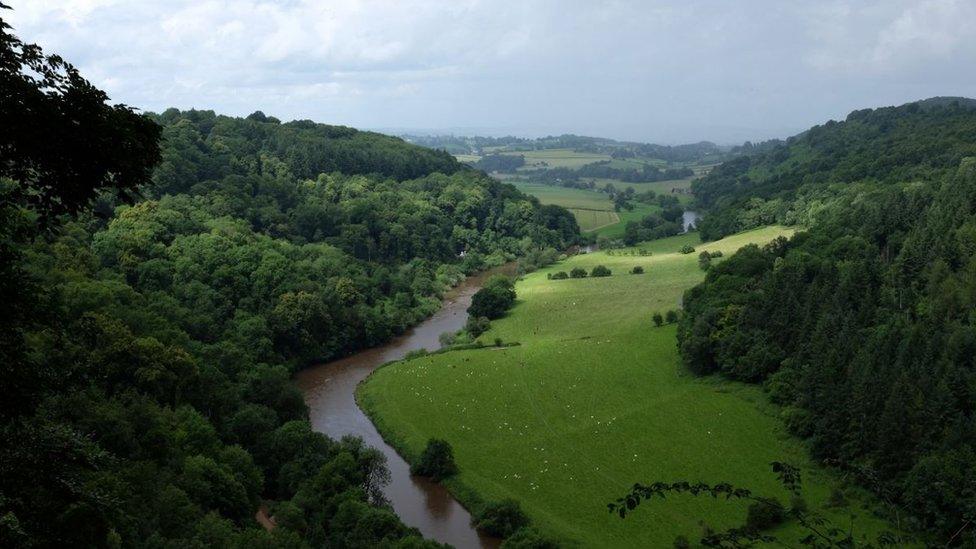 The River Wye