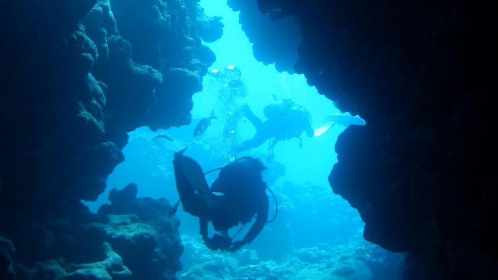 Divers under water