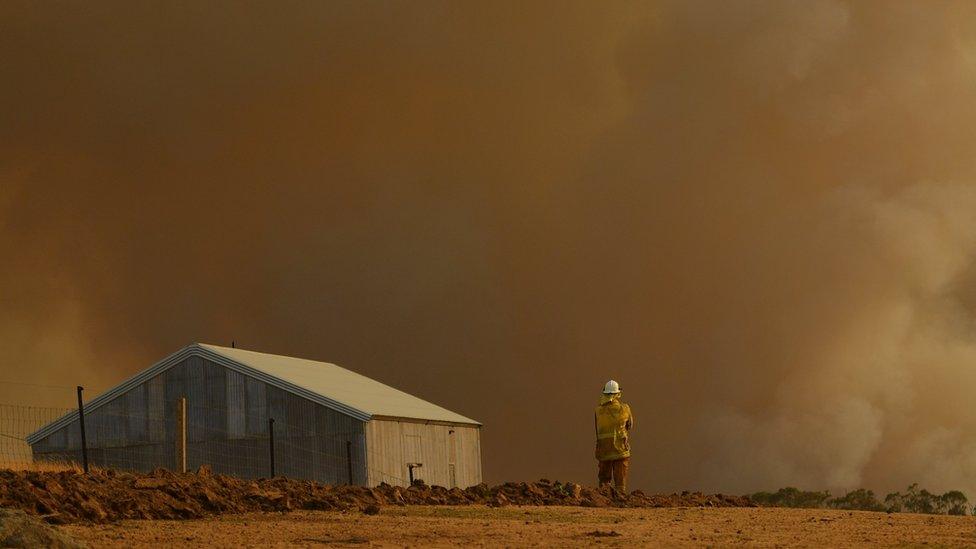 A Rural Fire Service firefighter looks at smoke in New South Wales in January 2020.