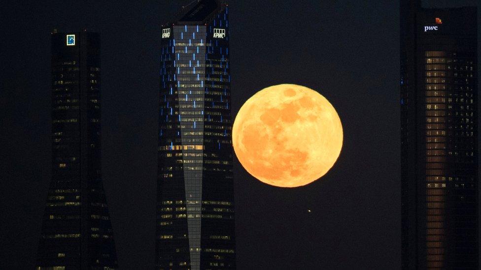 Moon between skyscrapers