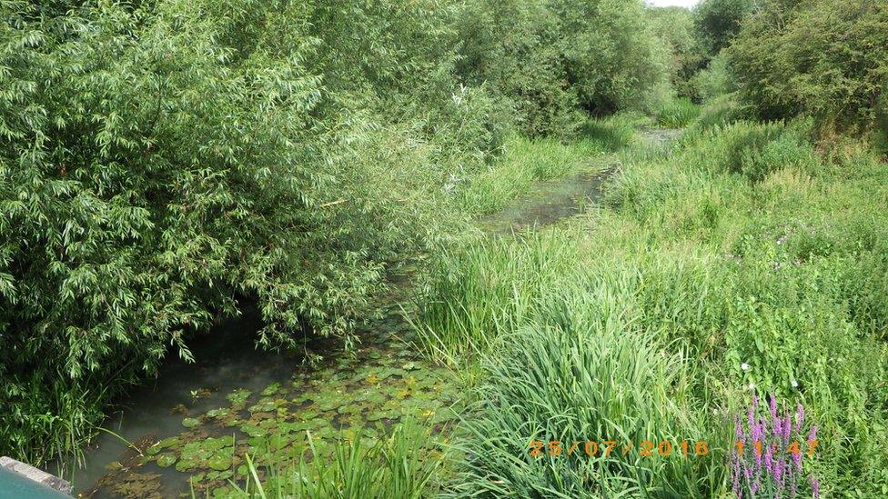 Pollution in Hinksey Stream