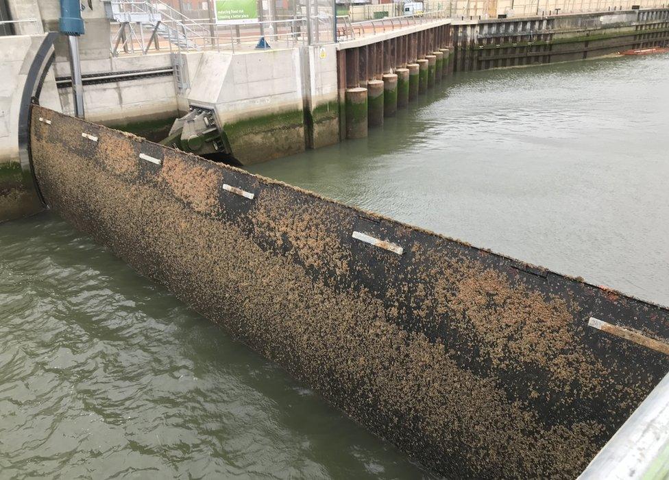 Ipswich tidal flood barrier