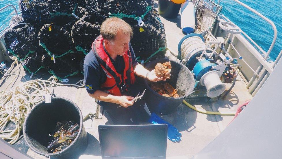 Paul Chambers examining a crab