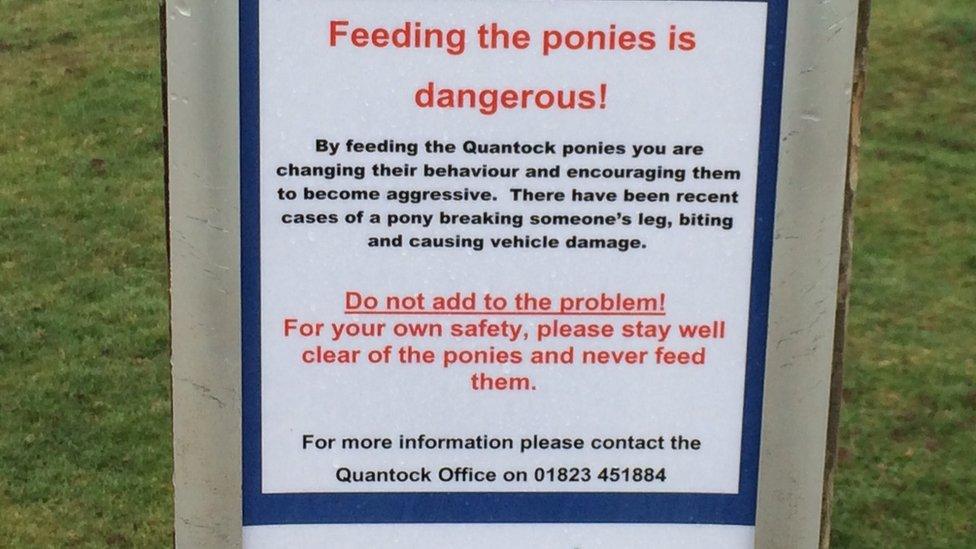 Quantock Hills pony warning