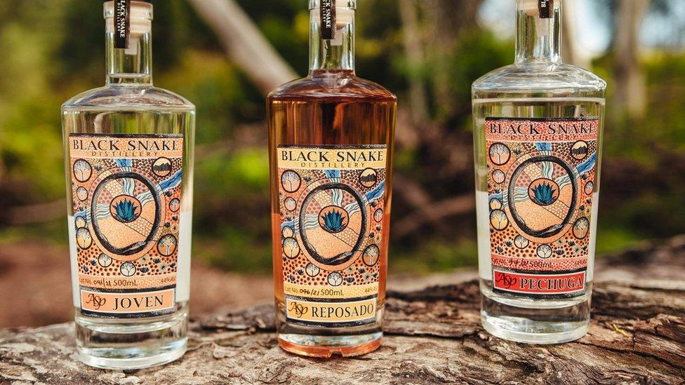 Bottles of Black Snake Distillery agave spirit